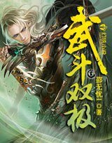 《武斗双极》
