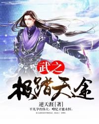 武之极踏天途