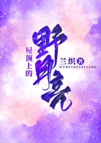 《屋顶上的野月亮》