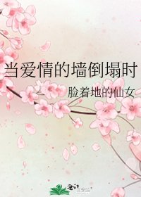 《当爱情的墙倒塌时》
