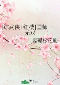 [综武侠+红楼]国师无双