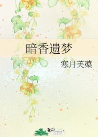《暗香遗梦》