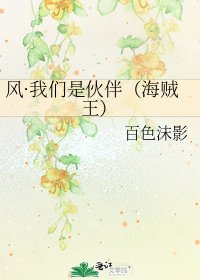 《风·我们是伙伴(海贼王)》