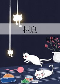 《栖息》