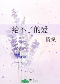 《给不了的爱》