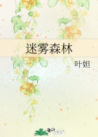 《迷雾森林》