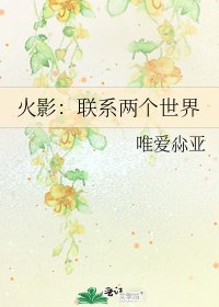 《火影:联系两个世界》