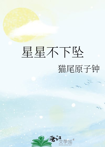 星星不下坠